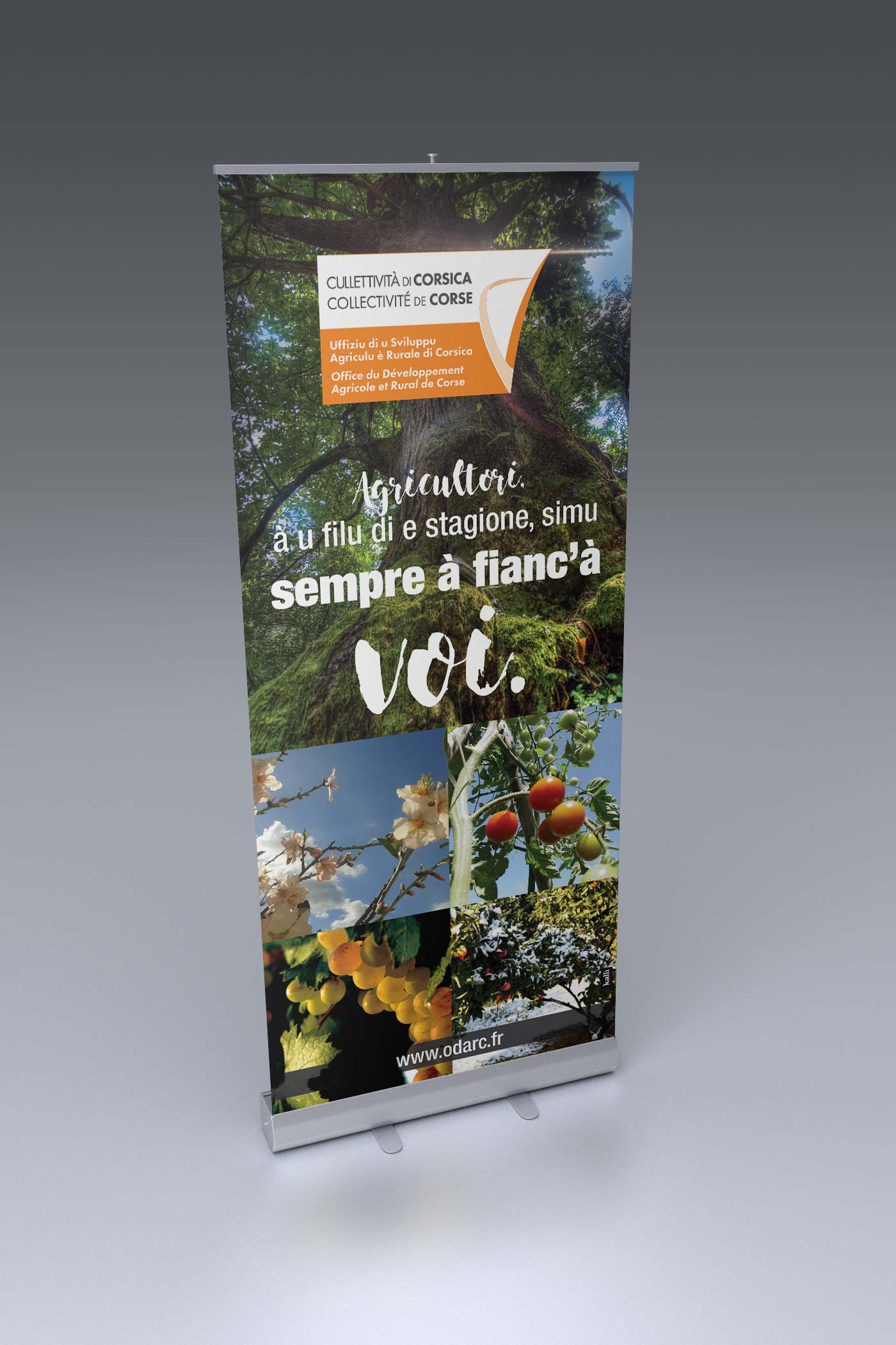 graphiste corse odarc bastia ajaccio roll up