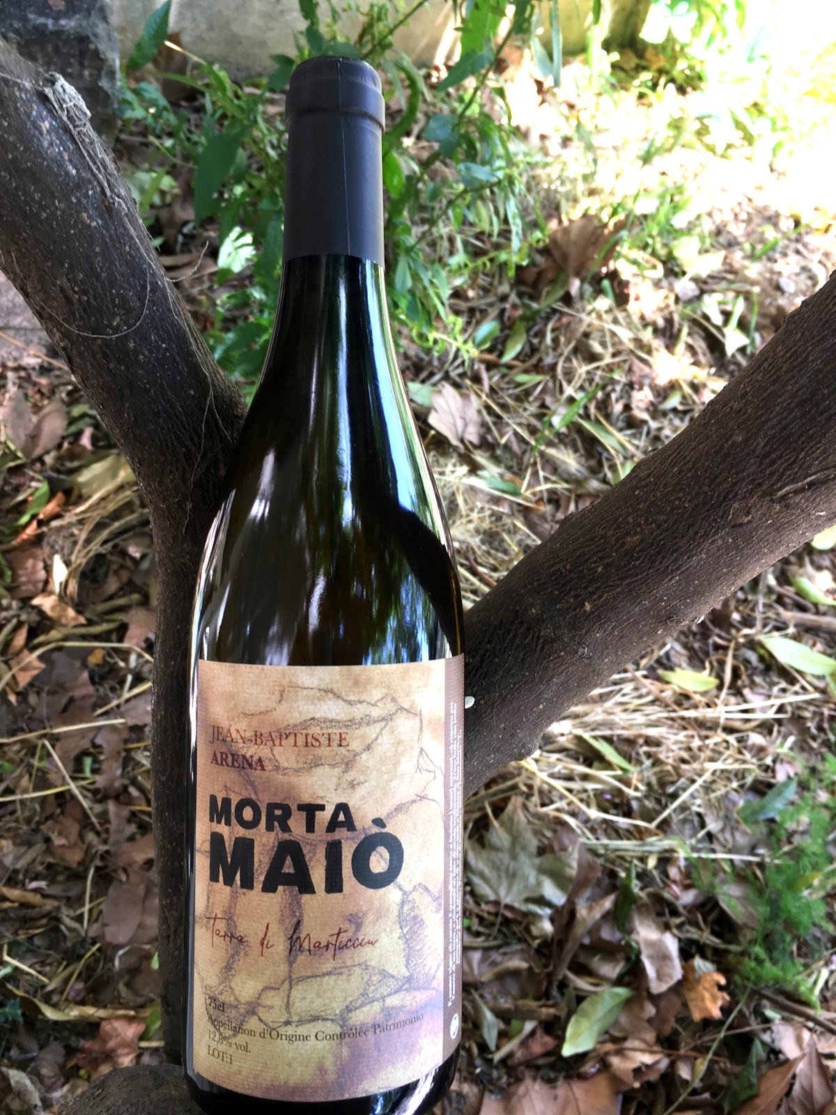 Création étiquette vin Corse