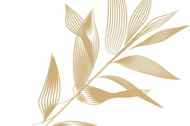 Branche-logo-Domaine-Myrtus